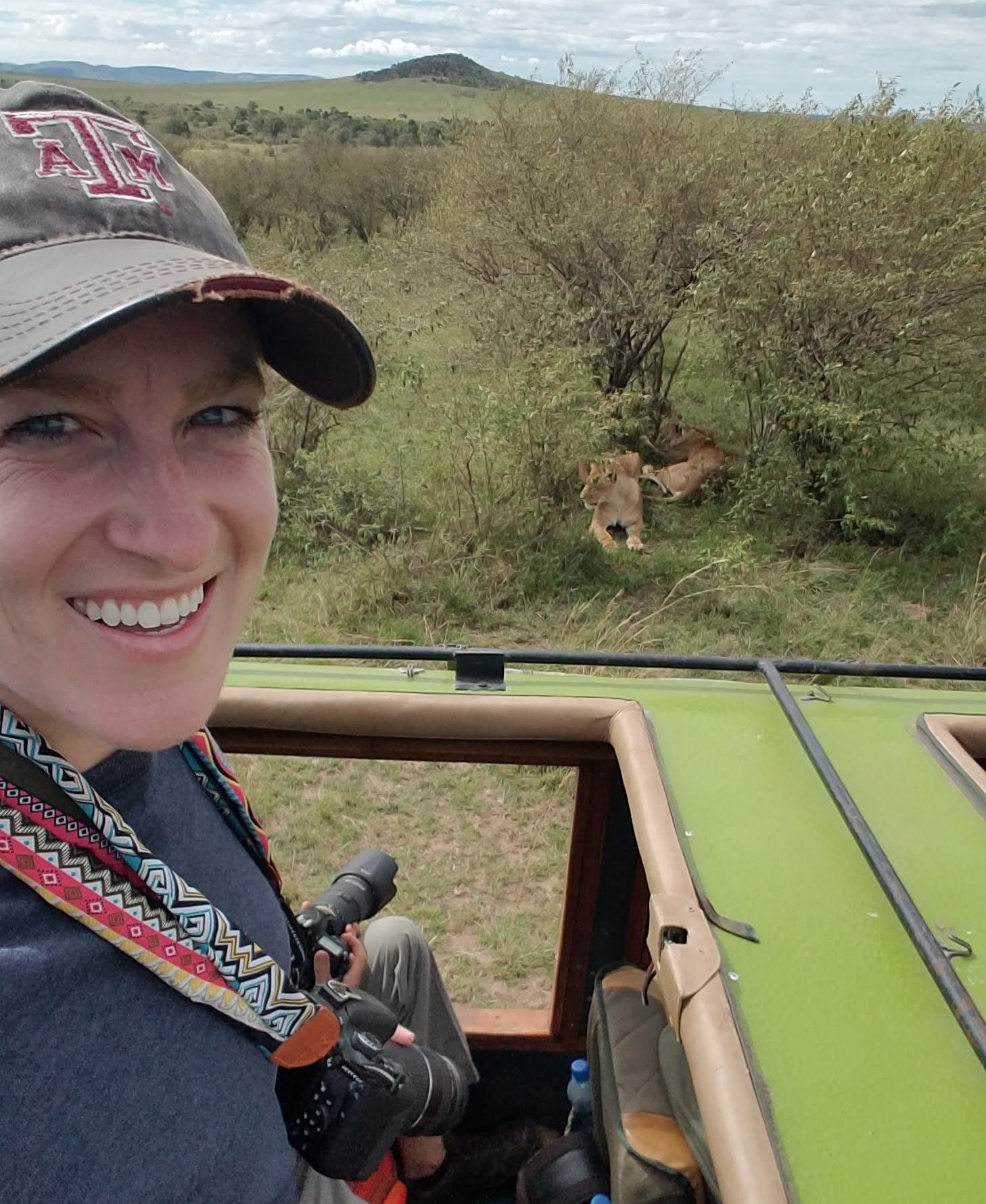 Dr Curry stands in the foreground in an open top vehicle with a lioness laying down under some scrub bushes in the background.