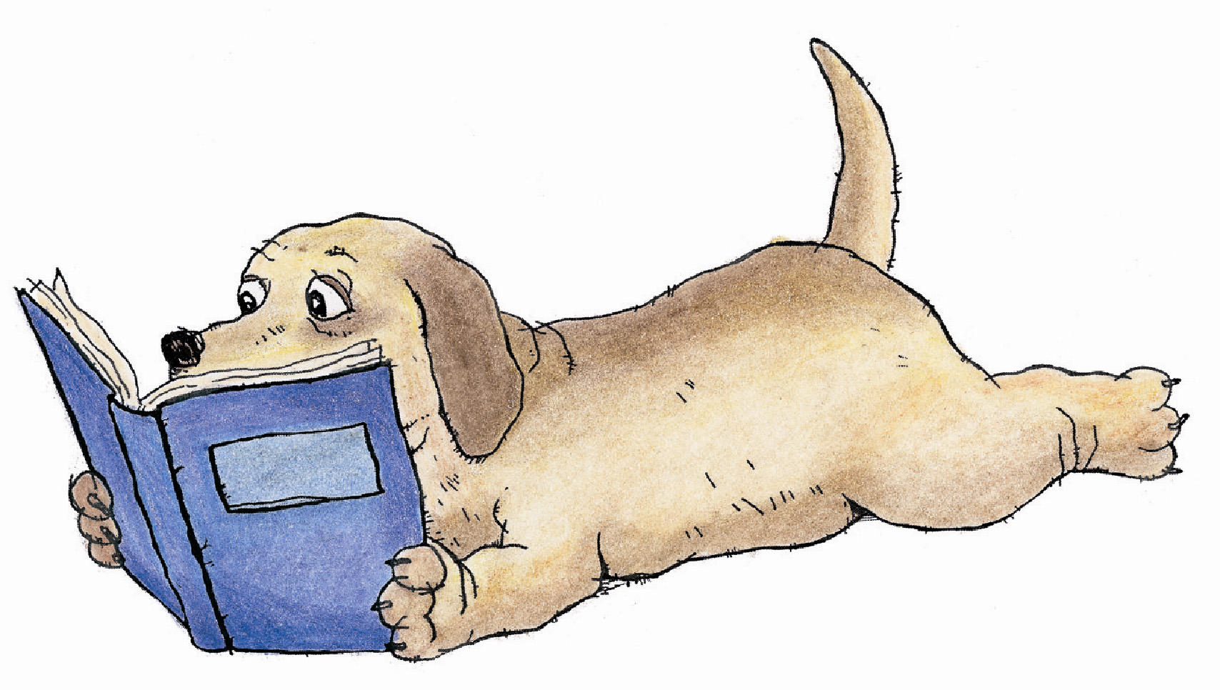 Tan dog, laying down with blue book in paws