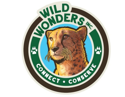 the logo for Wild Wonders, featuring an illustration of a cheetah's head surrounded by concentric circles