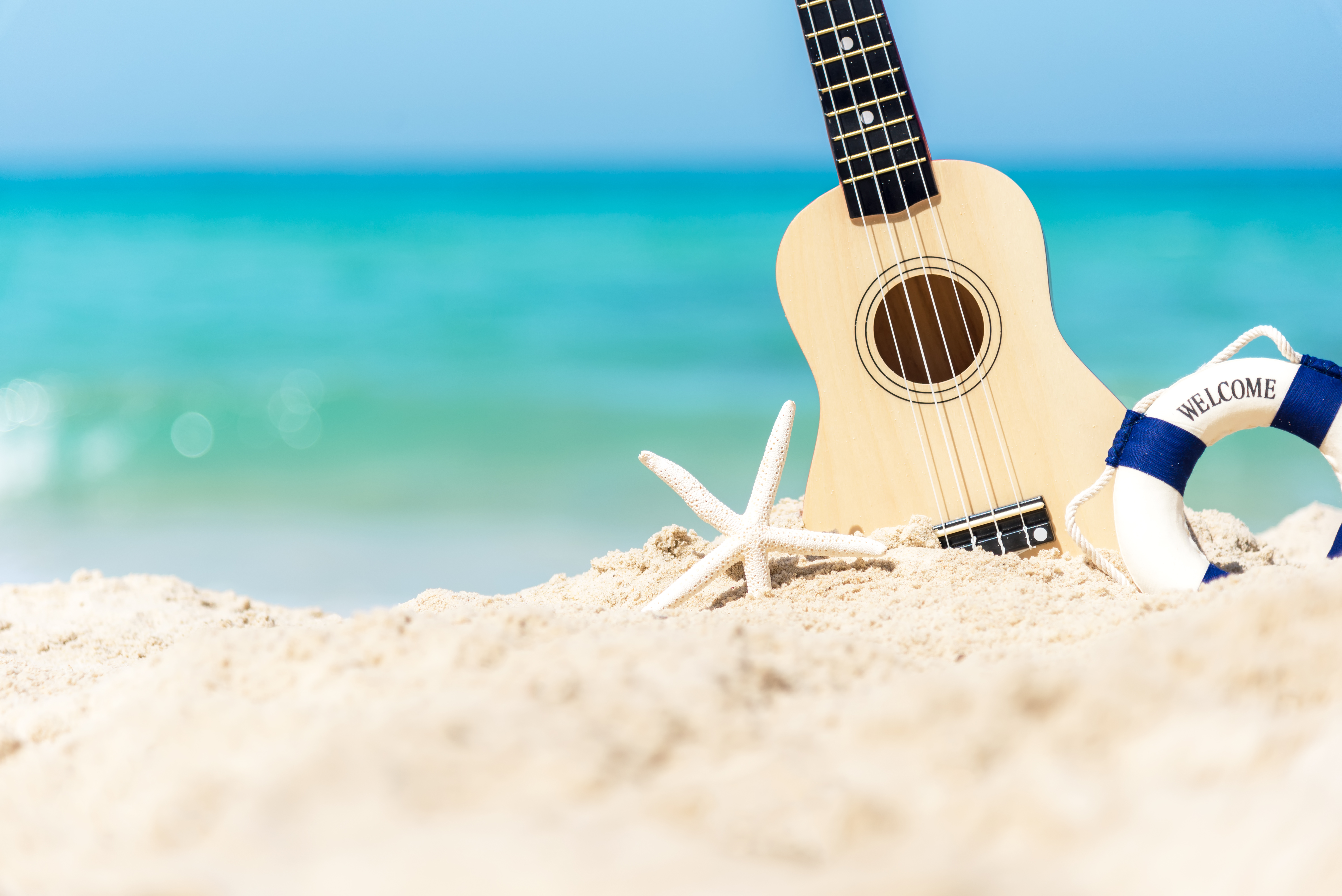 guitar, buoy and shell on sandy beach