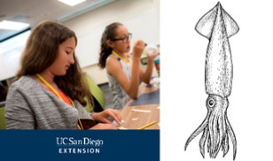 Squid Dissection Library NExT