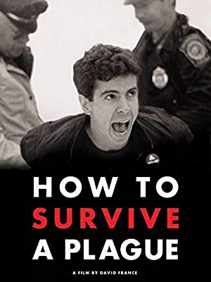 promotional poster for How to Survive A Plauge