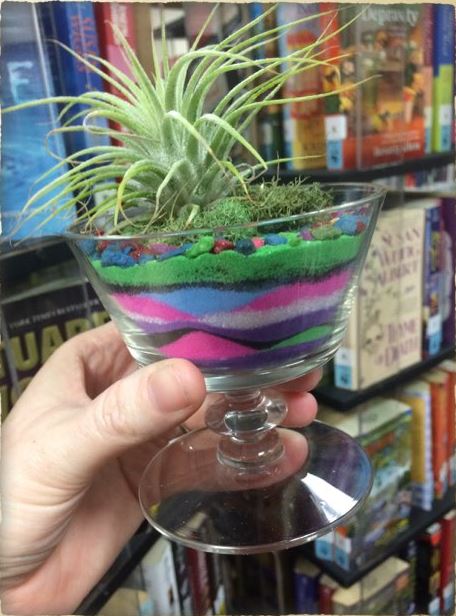 A small green plant in multi-colored sand layered over rocks in a clear container. 