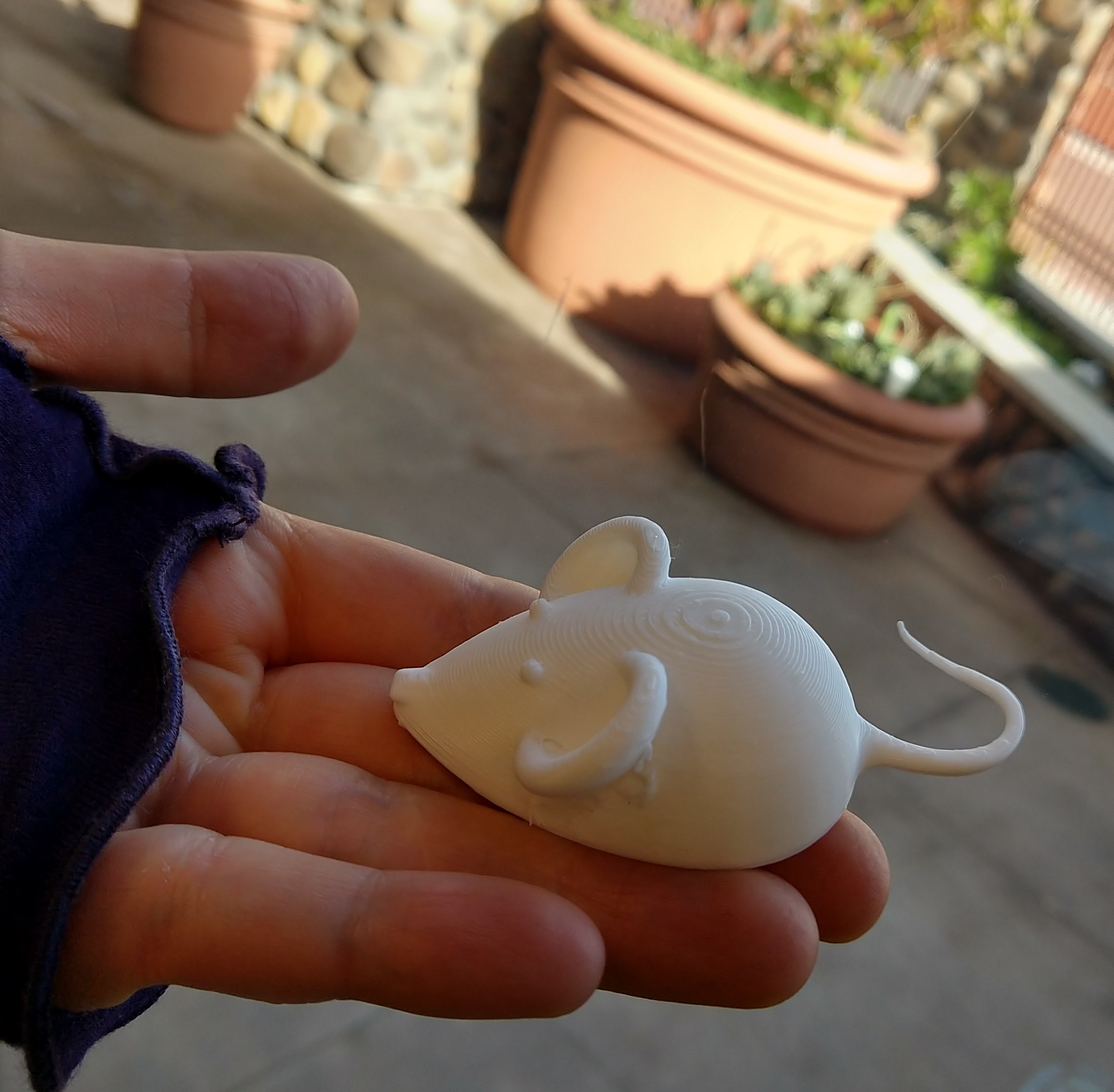3D Printed Mouse 