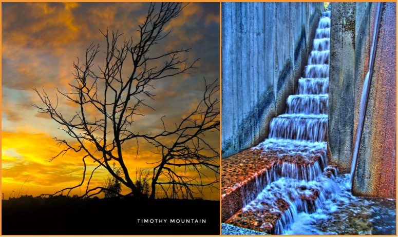 photo of a tree in front of a golden sky, and photo of a blue water cascading down steps