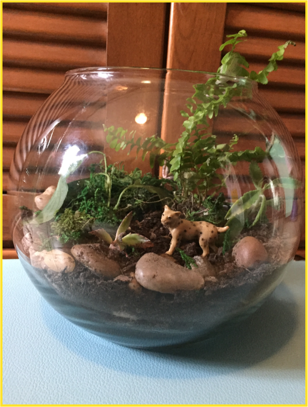 A glass fishbowl terrarium filled with plants and rocks
