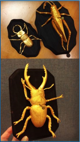 Flax Insect Taxidermy