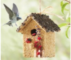 edible birdhouse