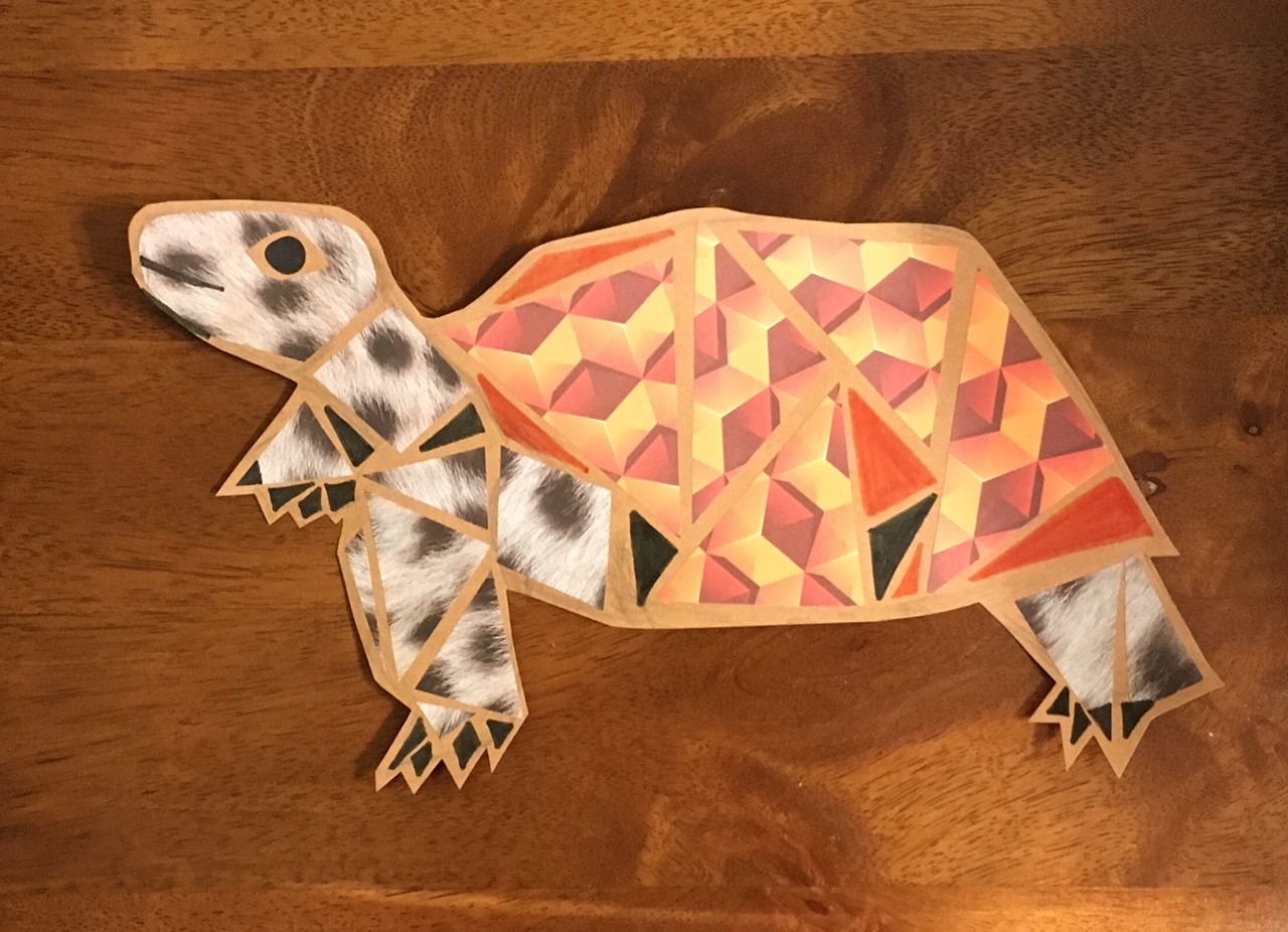 Turtle craft with brown body and orange shell
