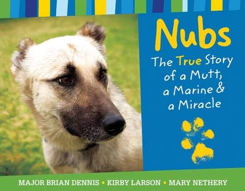 Book cover of Nubs