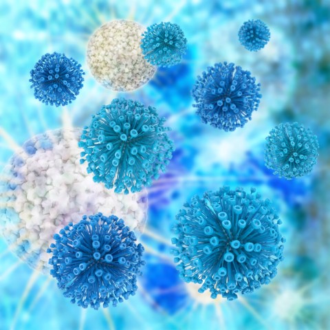 Image of Viruses