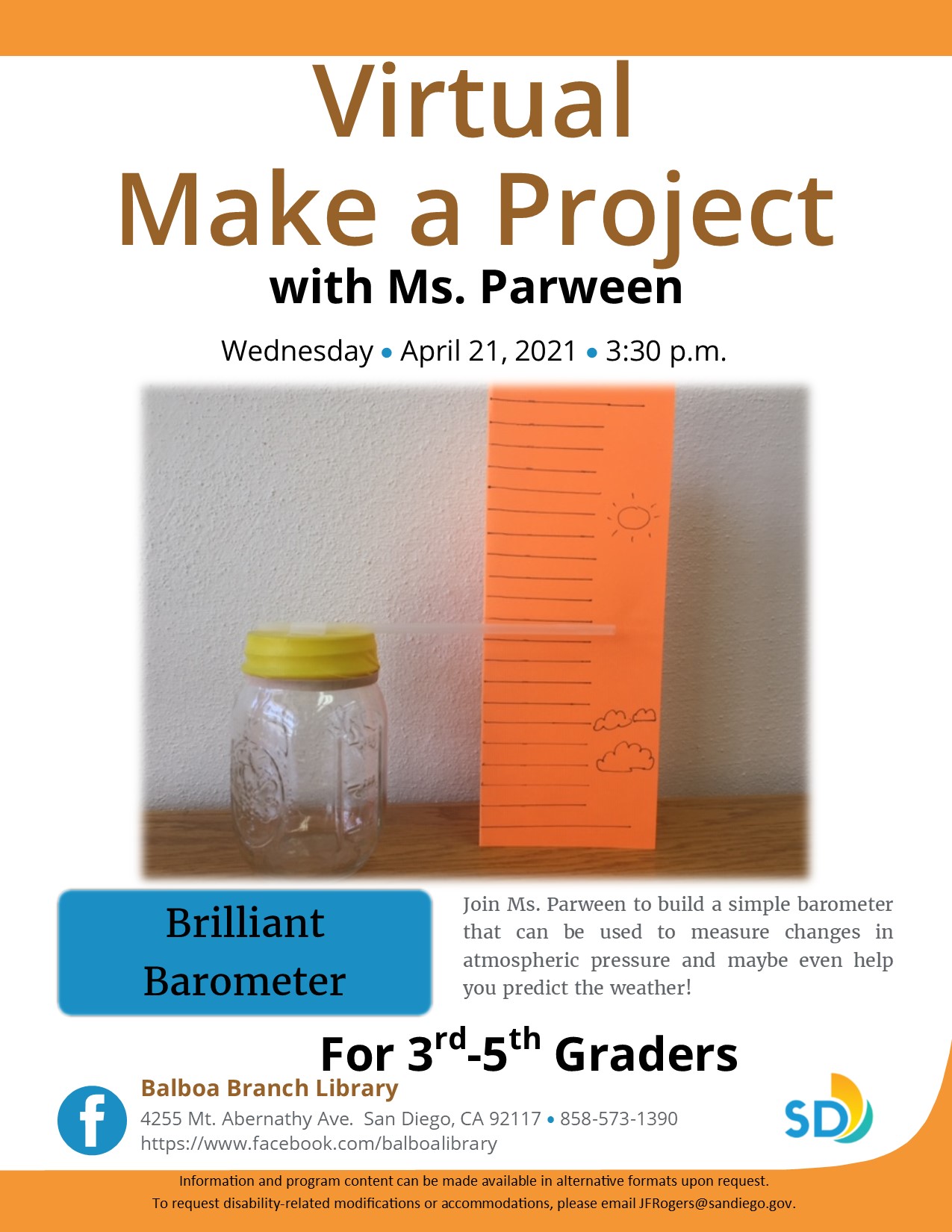 Make a Project Program Flyer