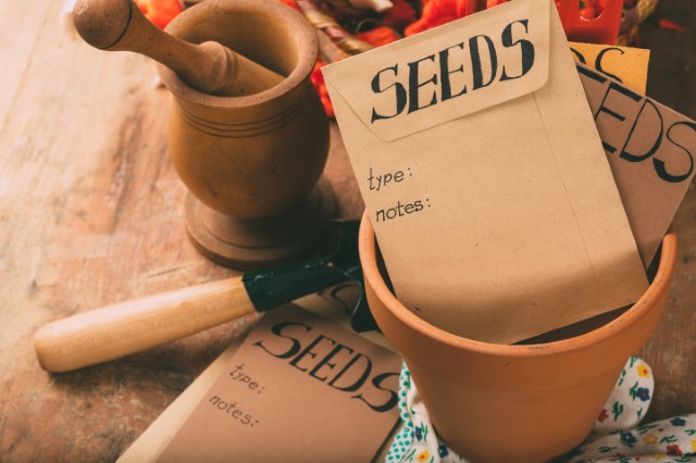 brown seed packets in a terra cotta pot with other gardening tools