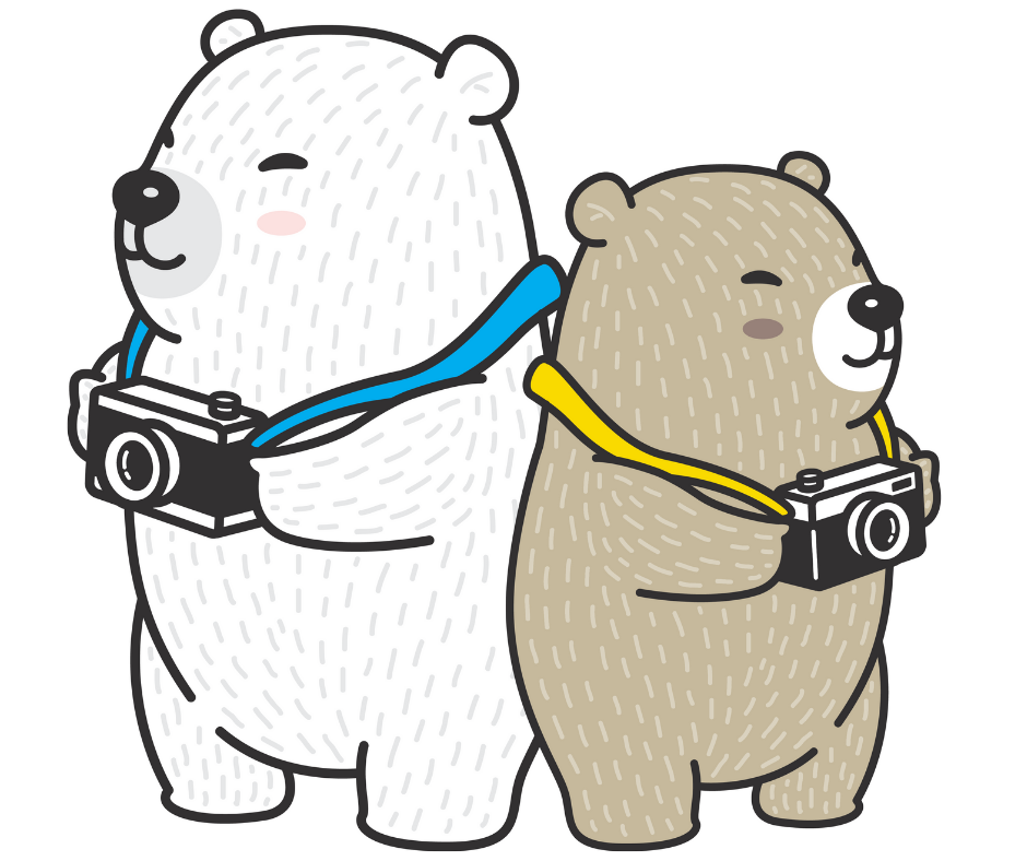 2 cartoon bears with cameras