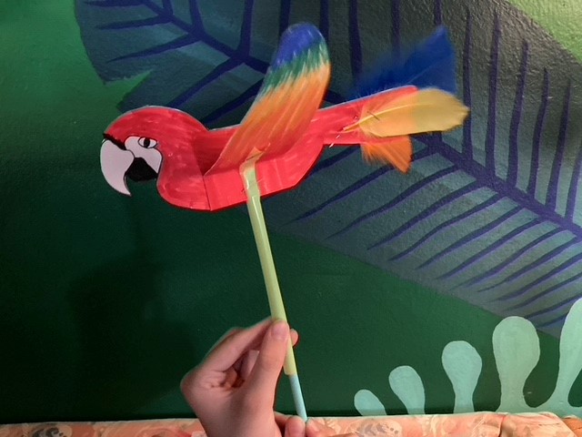 Macaw Craft Example