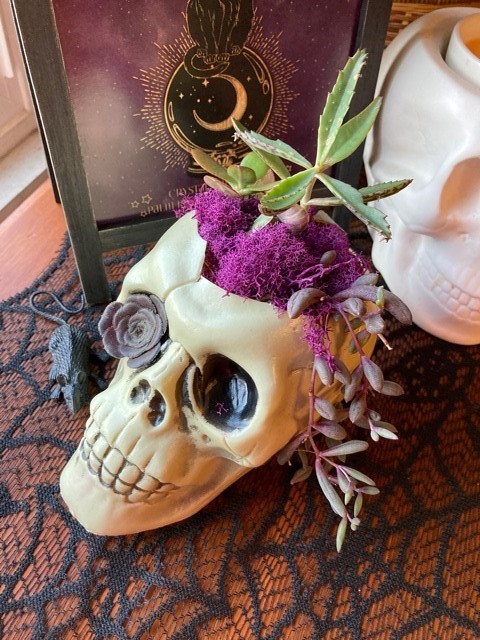 Skull Succulent Planter