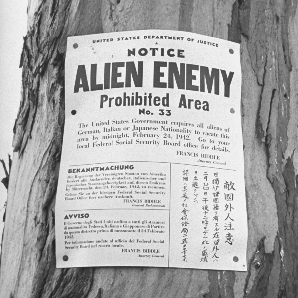 "enemy alien" poster targeted at Japanese, Italian and German Americans