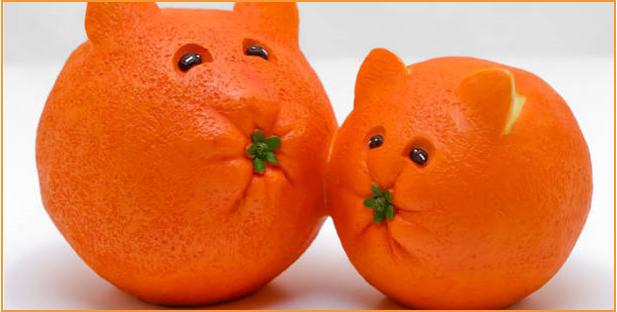 Oranges with faces