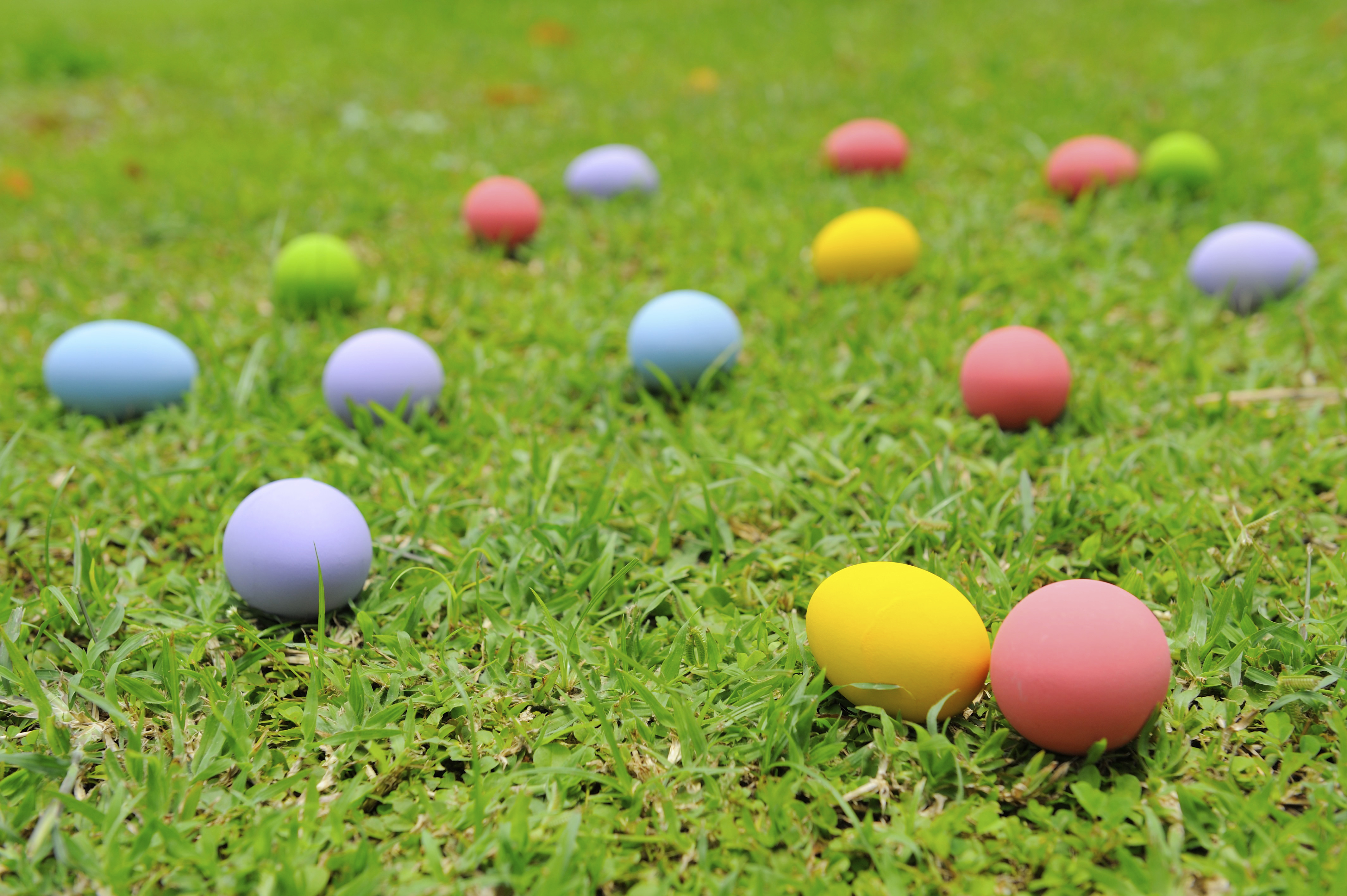 Colorful Easter eggs on spread out on a grass lawn
