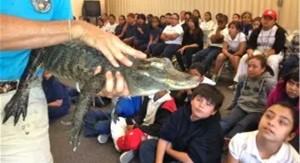 Presenter holding an alligator in front of a group of children