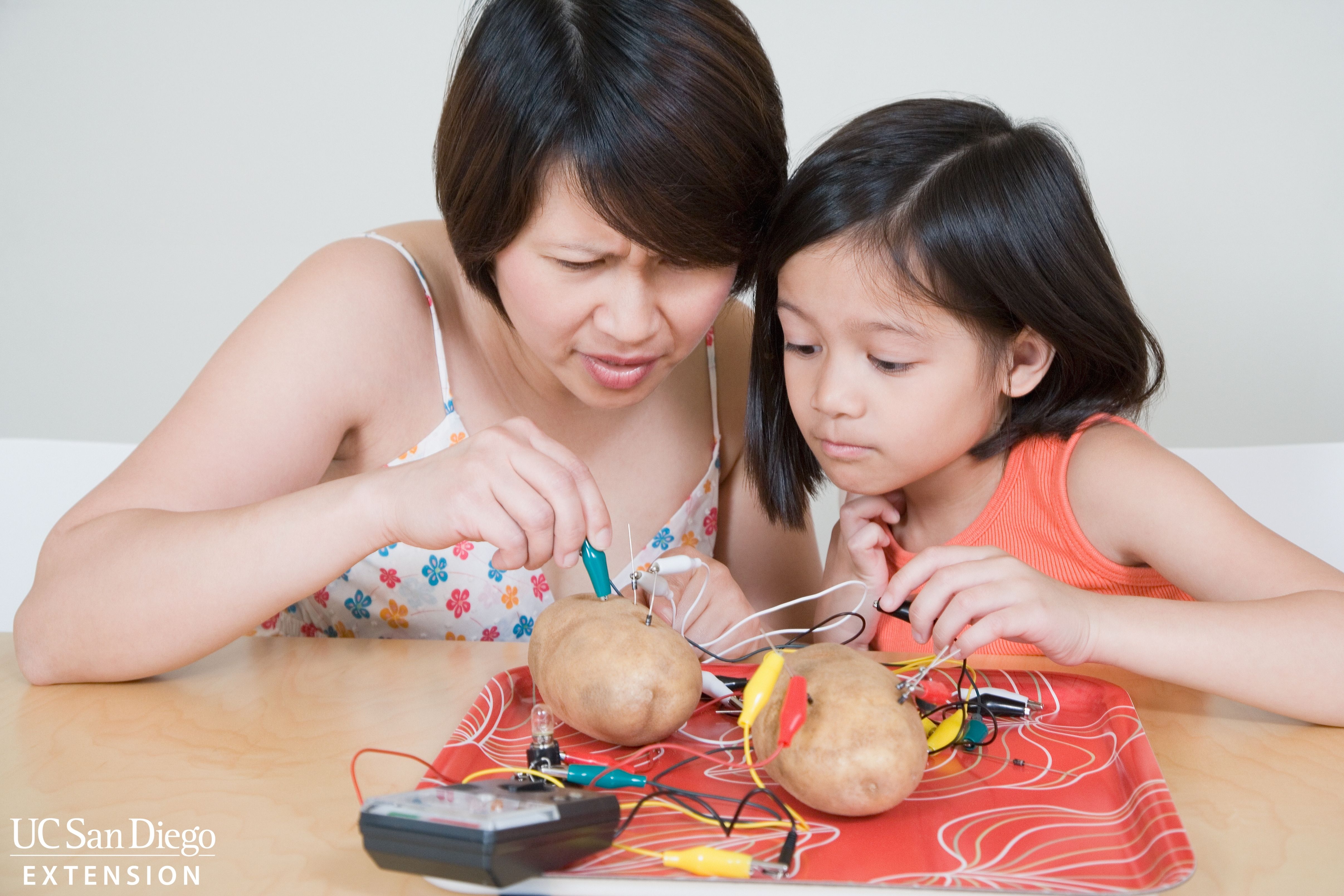 Parent and child conducting experiment with vegetables and wires