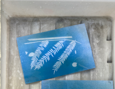 Blue image of a long leaf with white skinny leaves on a blue paper made from the sun. 