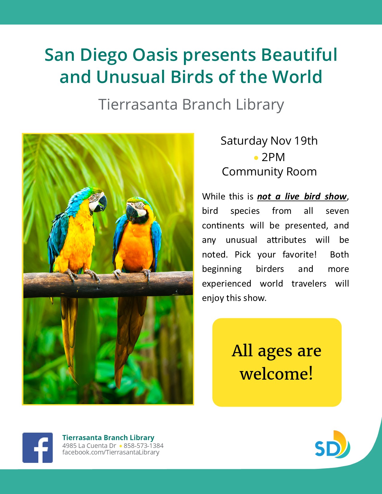 Flyer with two parrots sitting on a tree branch in a tropical setting