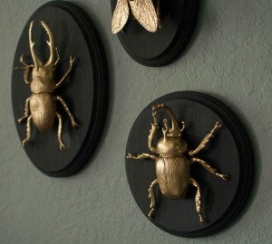insect mount