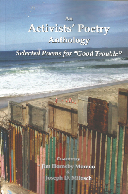 Picture of border wall at the the beach and text "An Activists' Poetry Anthology: Selected Poems for "Good Trouble""