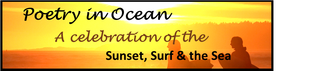 surf sunset logo