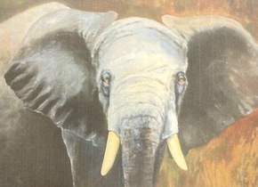 Painting of an elephant by artist Yoli McLeland. Oil on canvas.
