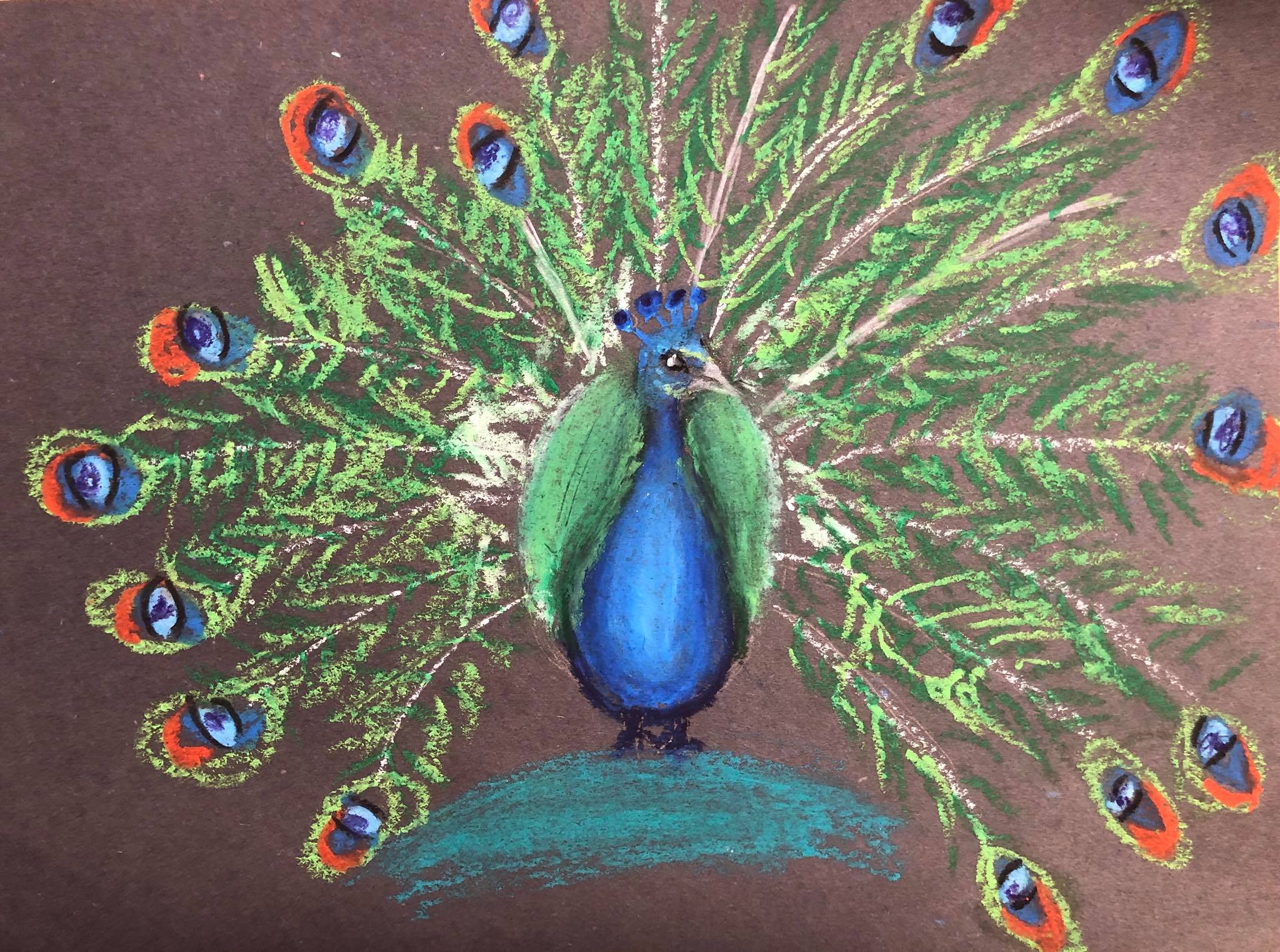 Art Smarts Peacock Drawing - Celebrating Spring! | San Diego Public Library