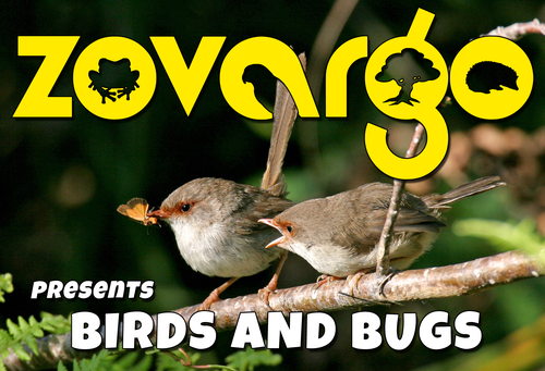 Birds and Bugs Zovargo Animal Show