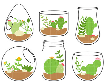 Illustration of 6 small terrariums