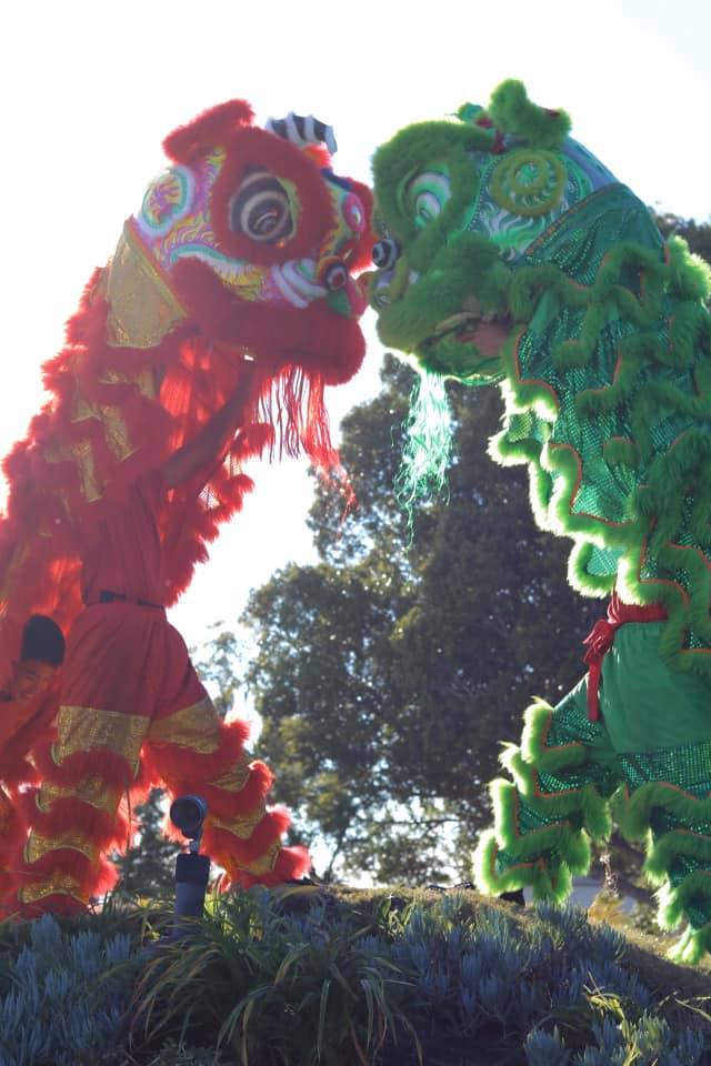 Dragon and lion dances at Fashion Valley! – Cool San Diego Sights!