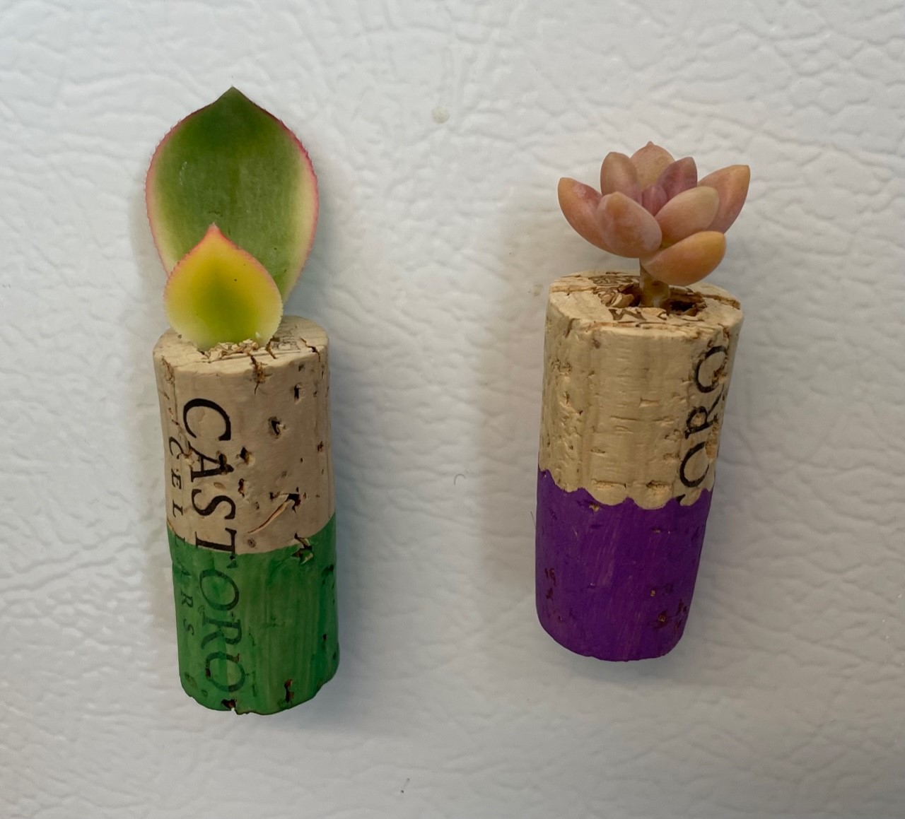 2 magnets made of succulents planted into wine corks.