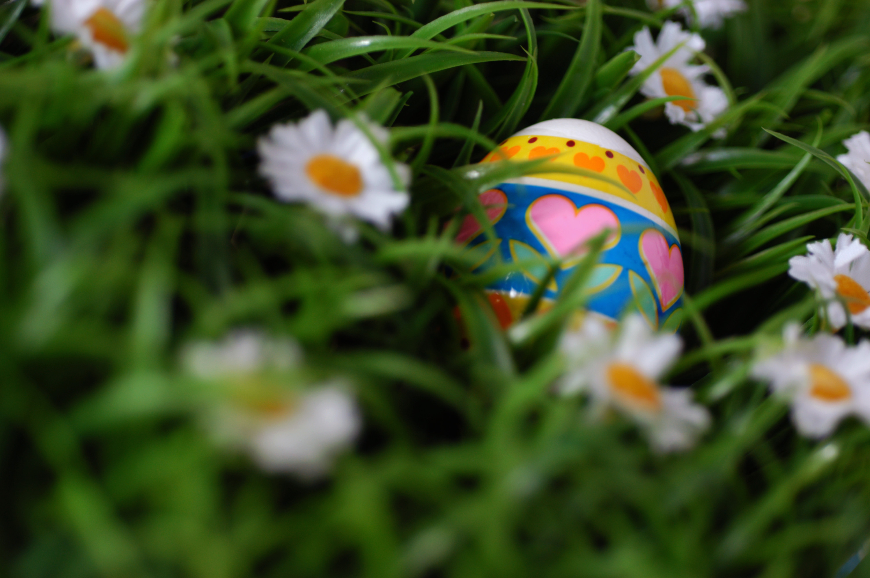 Painted egg in the grass