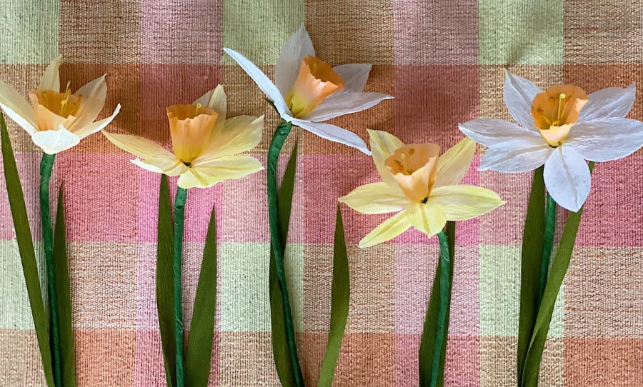 Yellow and white daffodil blossoms, made out of crepe paper
