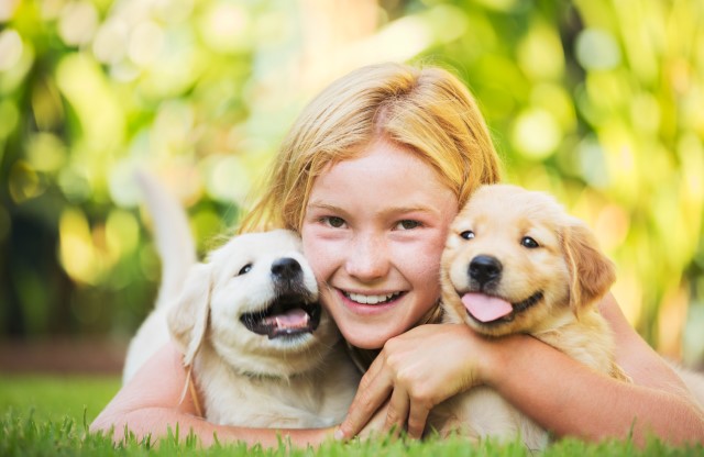 Girl holding two Golden Retriever puppies
