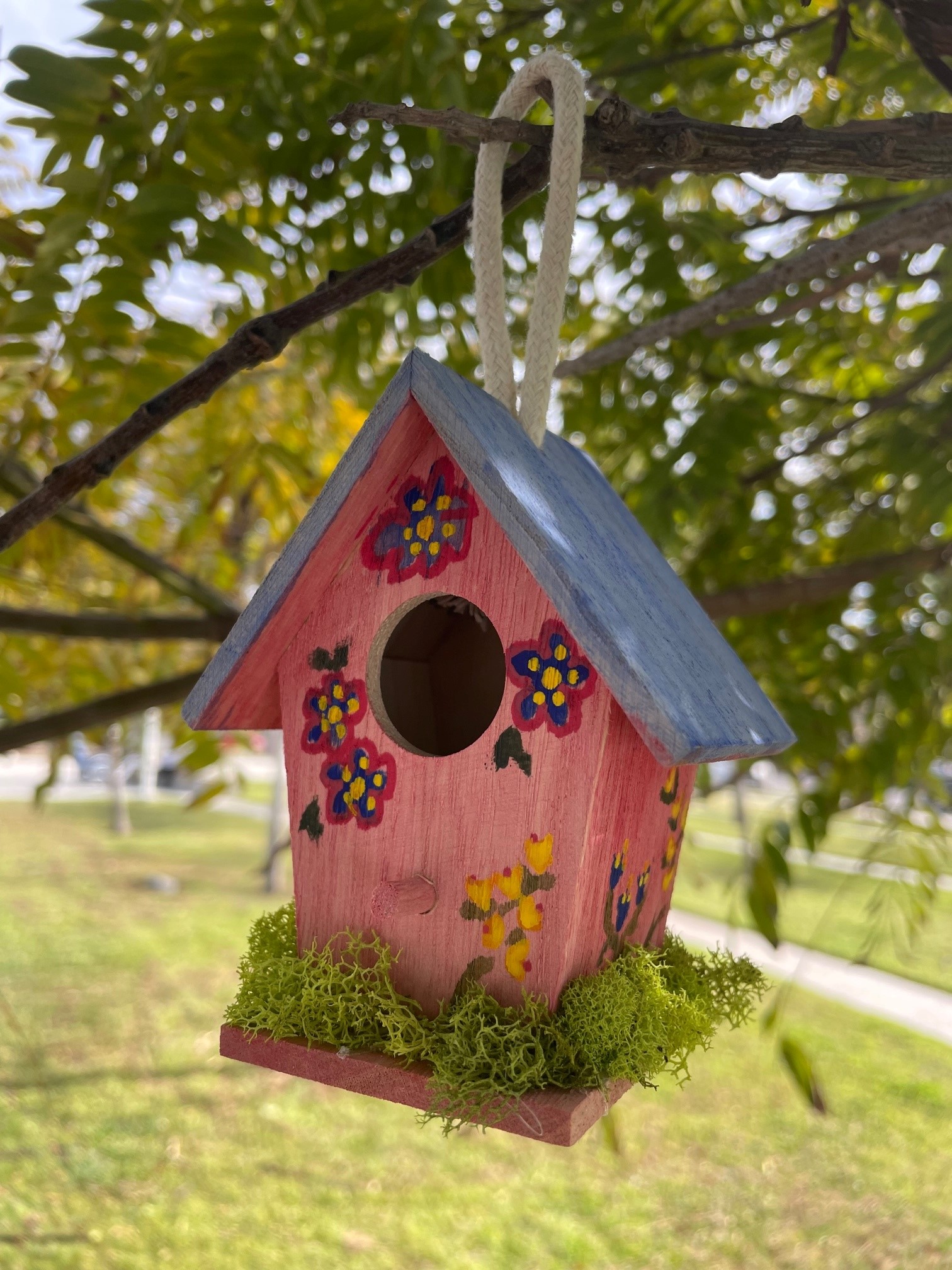 Miniature wooden birdhouse, hanging in a tree