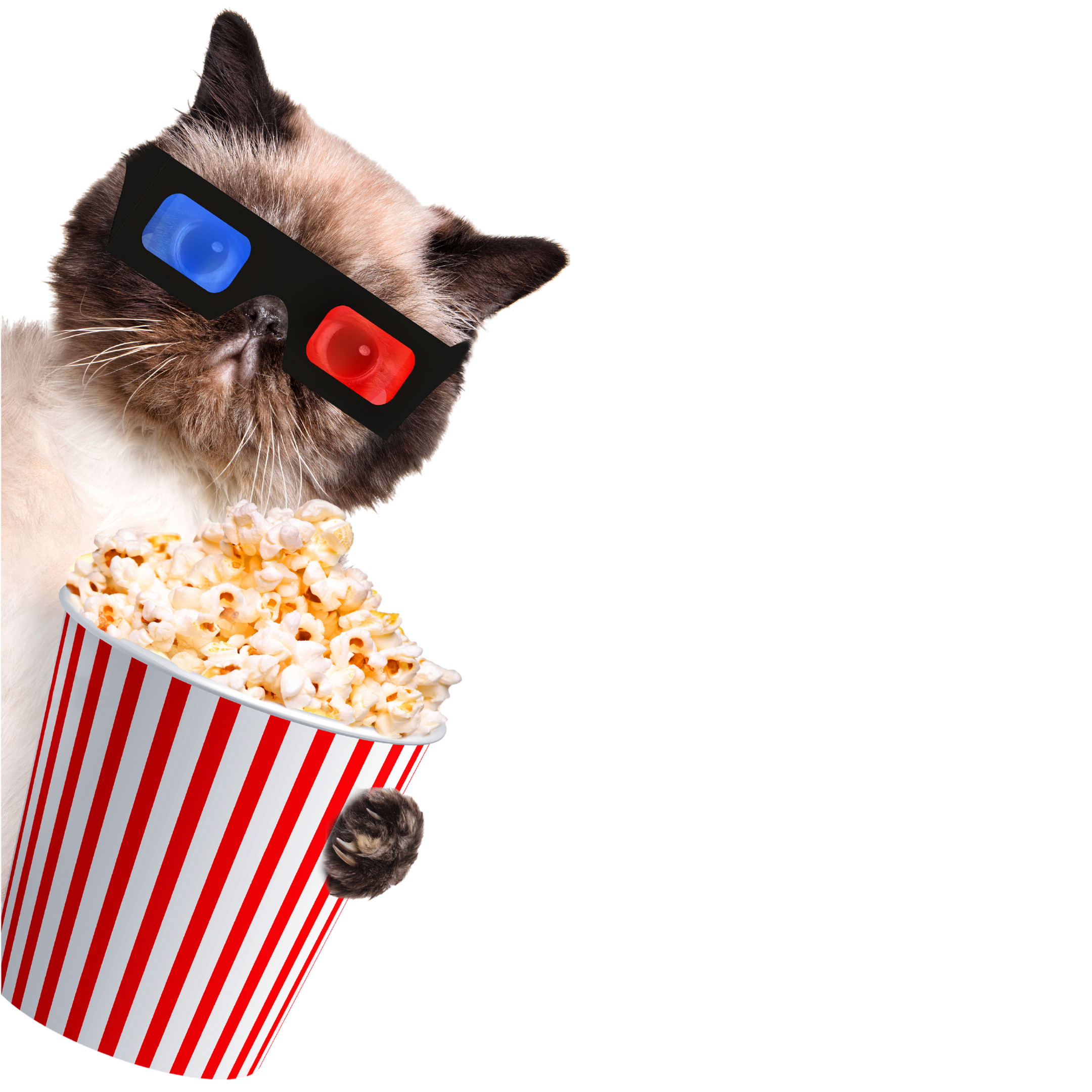 A cat holding a bucket of popcorn and wearing 3D movie glasses peaking in from the side.