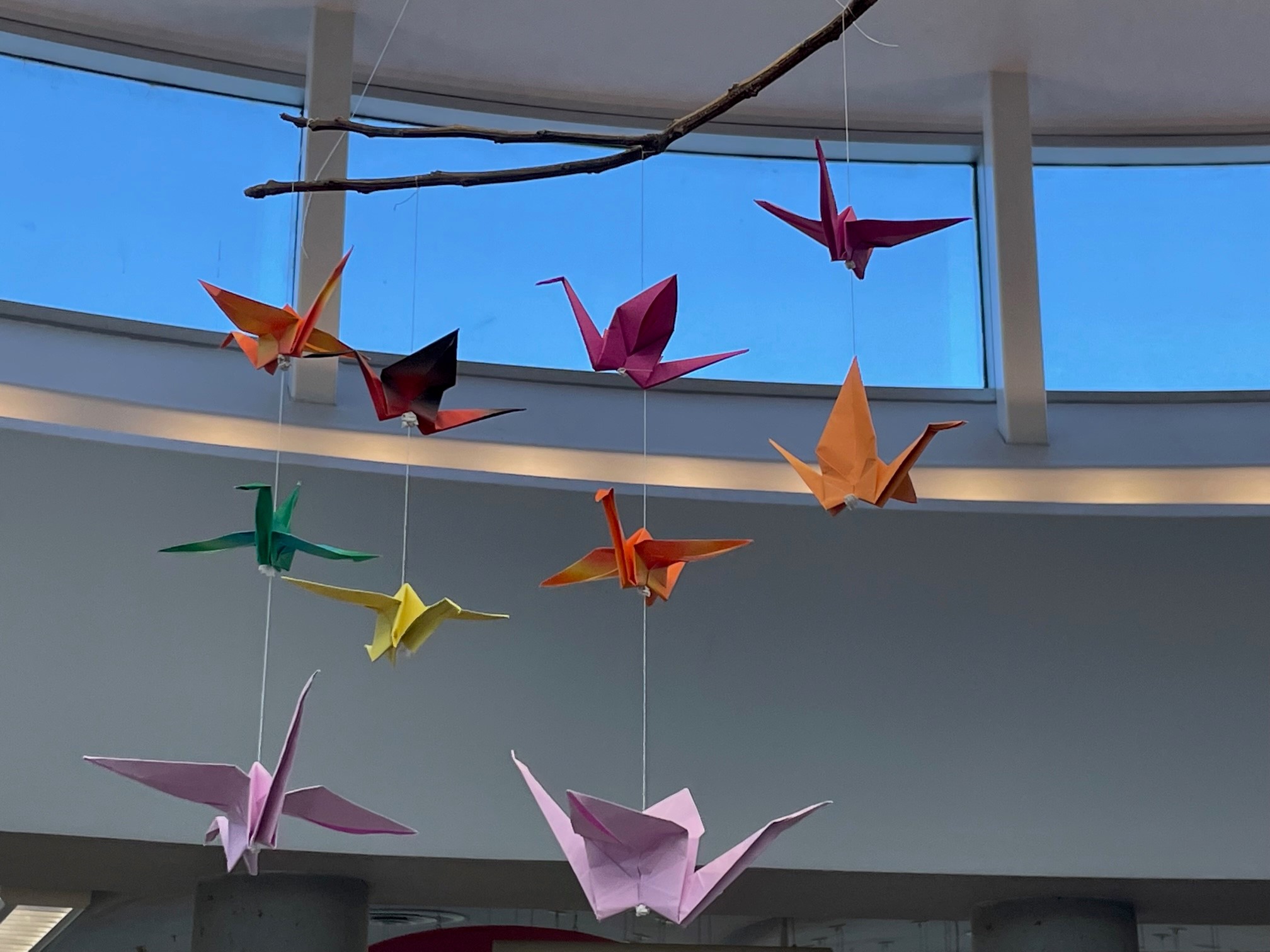 Mobile made of origami cranes hanging from a branch