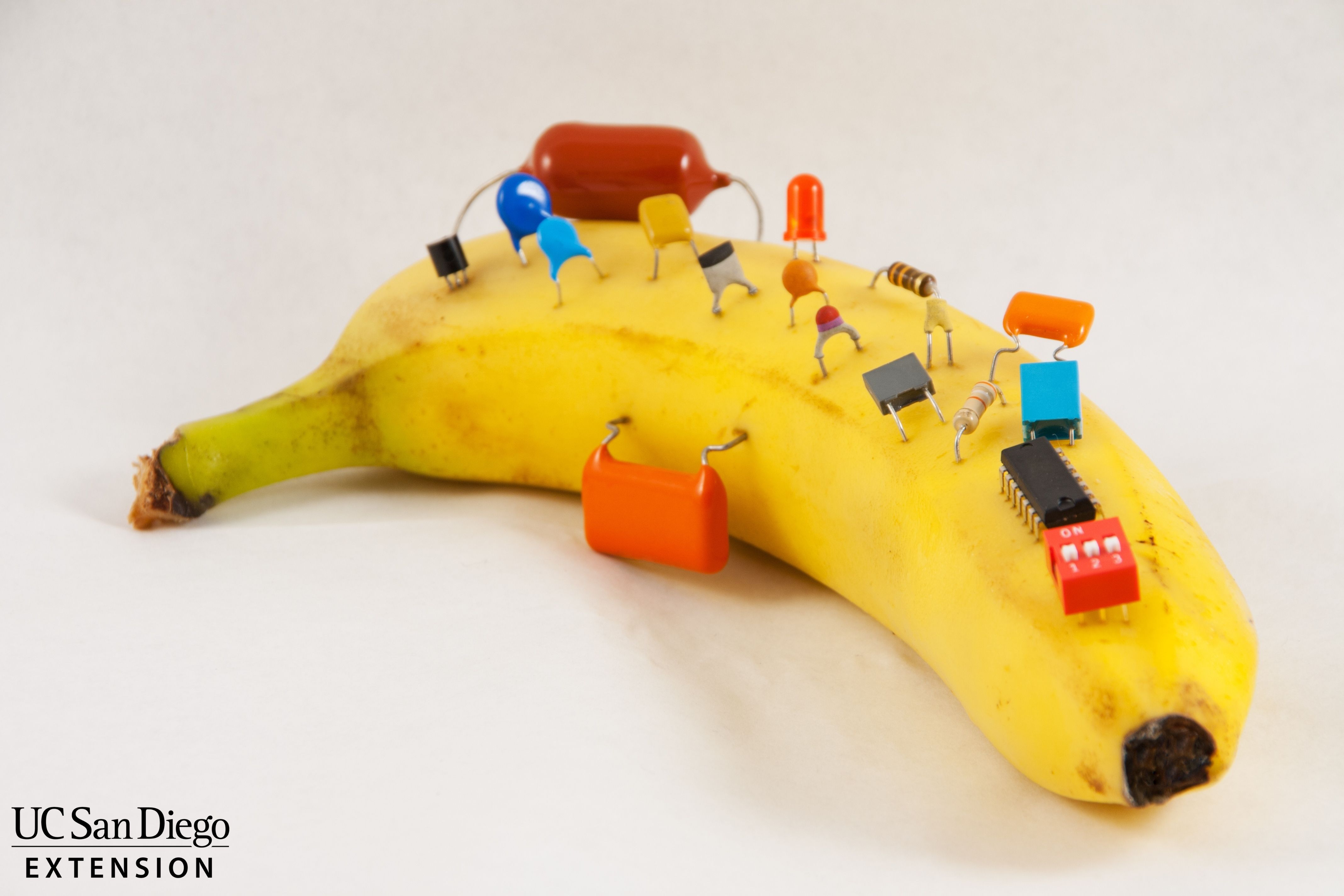 circuits and resistors in a banana