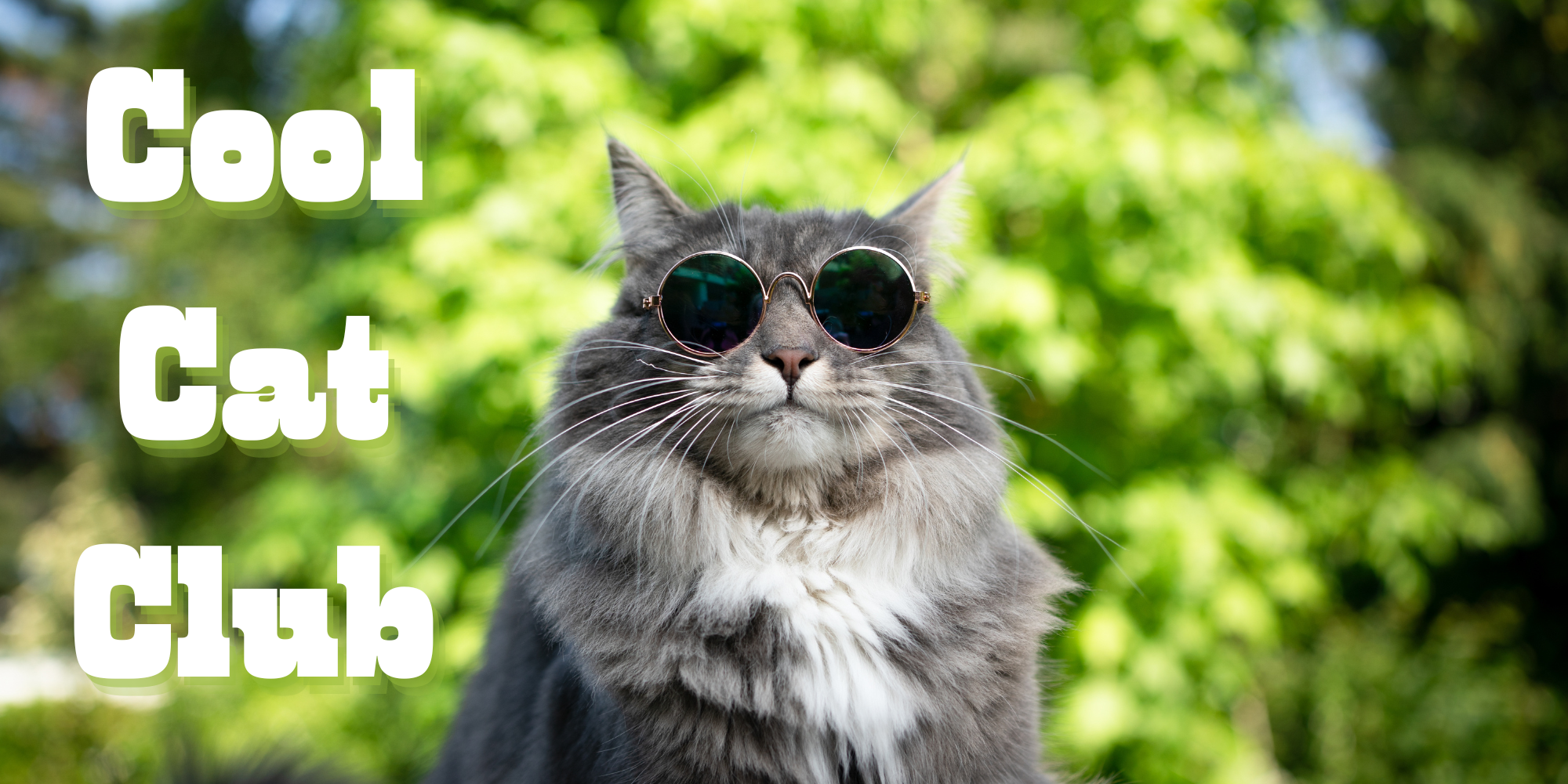 cat wearing sunglasses with Cool Cat Club written next to it
