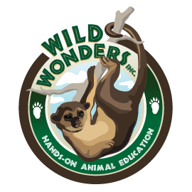 Wild Wonders Logo in green text with a monkey hanging by its tail
