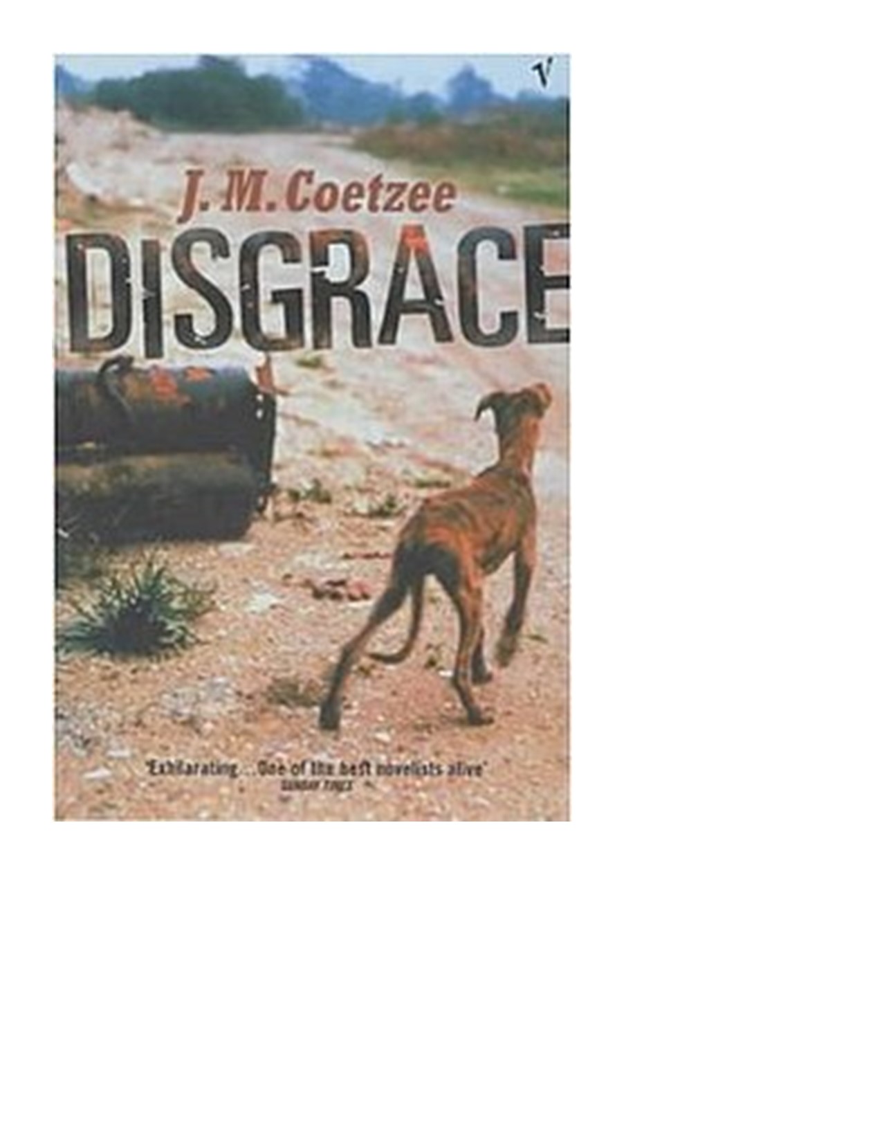 Disgrace book cover