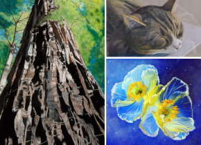 Collage of colored pencil drawings of a tree, flowers, and a cat by artists from the Colored Pencil Society of America.