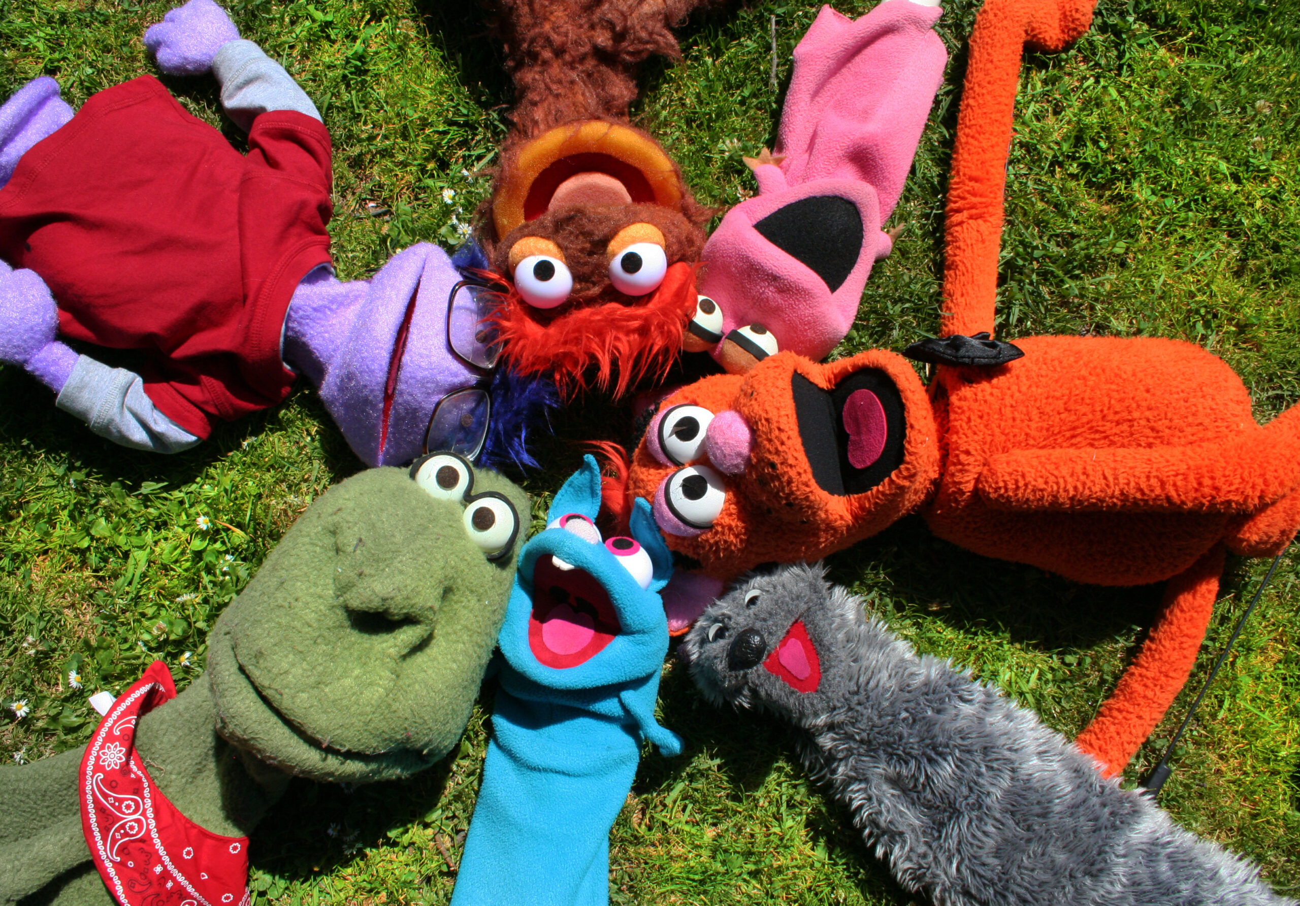 multi colored puppets in a circle on grass