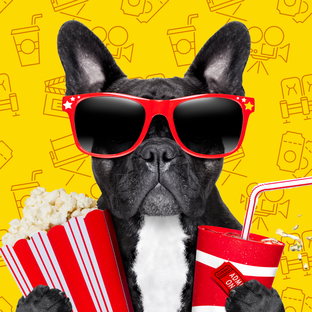 A black dog wears red sunglasses and holds matching popcorn bucket and a soft drink