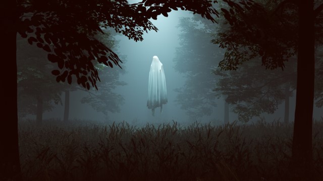 Photo of a dark forest with a ghostly figure in the mist between the trees